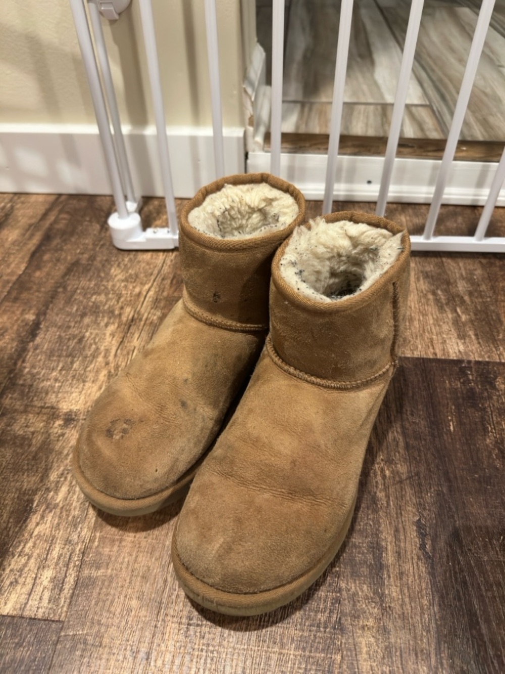 UGG women’s Classic Mini Boots in Chestnut Suede